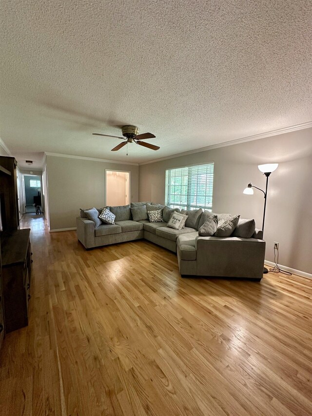 living area featuring ornamental molding, a textured ceiling, and wood finished floors
