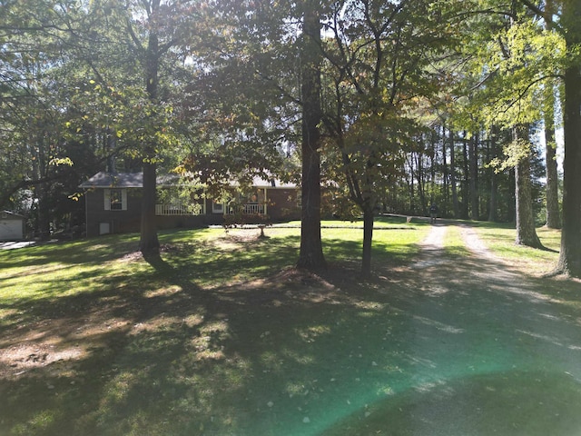 view of yard