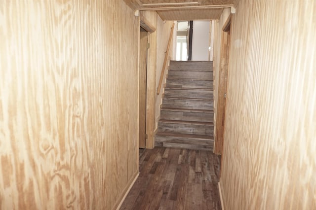 stairs with wooden walls and hardwood / wood-style floors