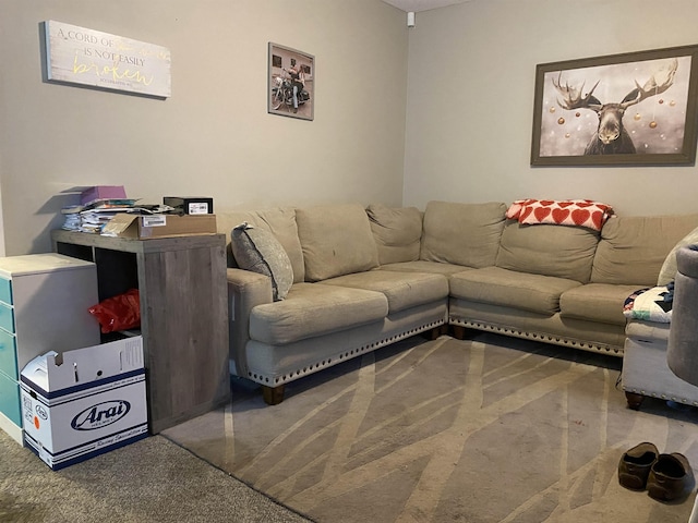  - living room with carpet flooring