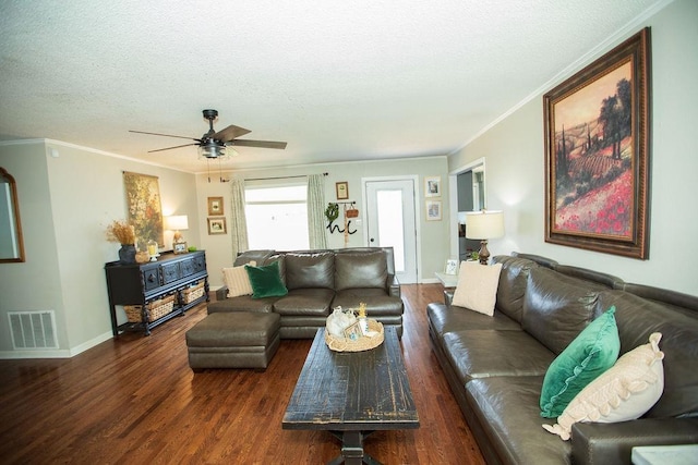  - living room featuring wood finished floors, a textured ceiling, ceiling fan, and ornamental molding