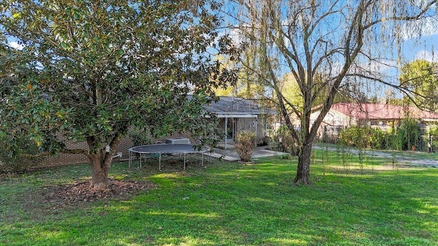 view of yard featuring a trampoline