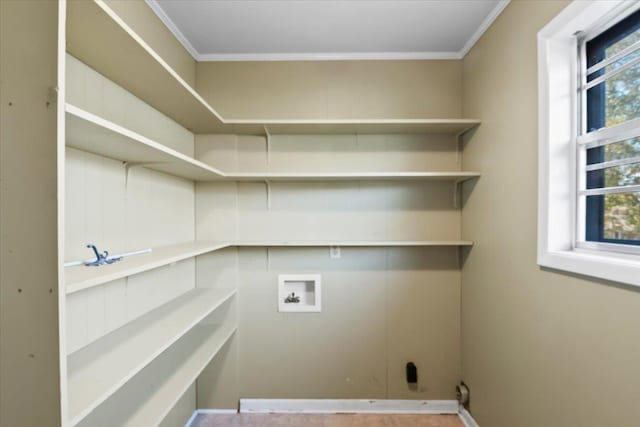 clothes washing area featuring washer hookup and ornamental molding