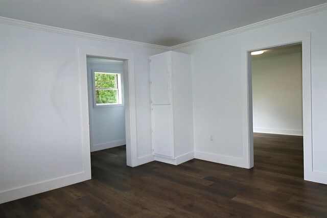  - photo 11