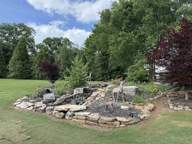  - view of grassy yard