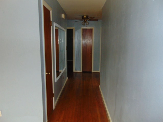 hall featuring dark hardwood / wood-style floors