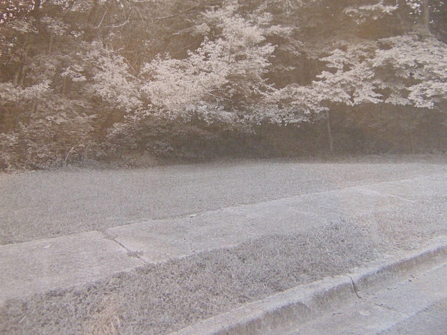  - photo 2
