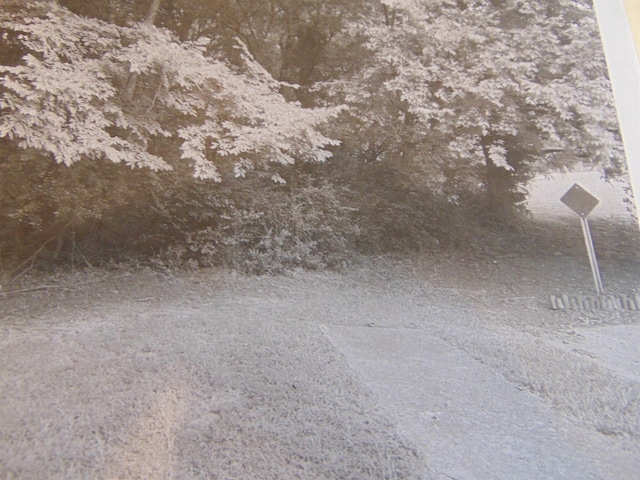  - photo 3