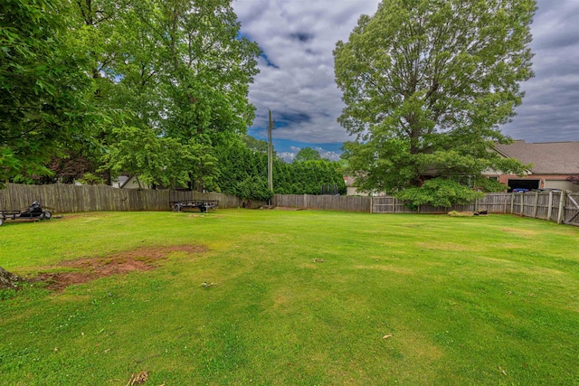  - view of yard