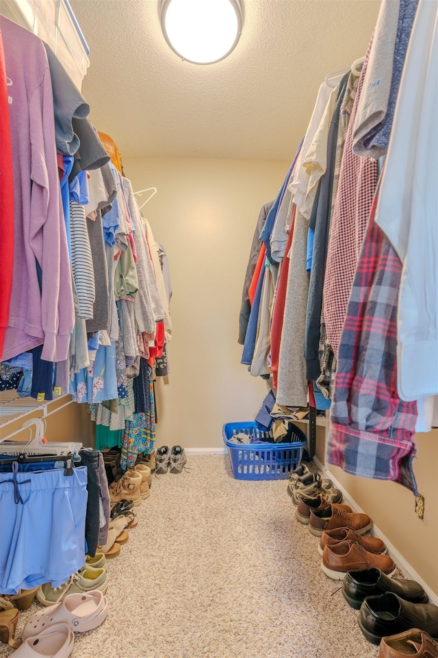  - walk in closet with carpet floors