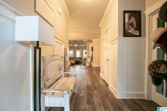  - corridor featuring crown molding and dark wood finished floors