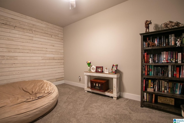  - living area featuring carpet and wooden walls