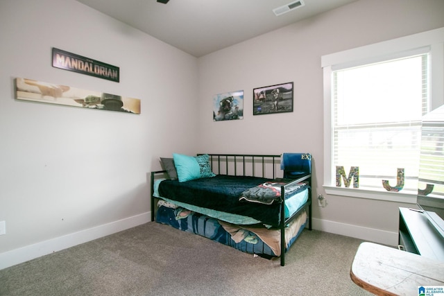  - carpeted bedroom featuring multiple windows