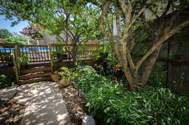 view of yard featuring a pool side deck