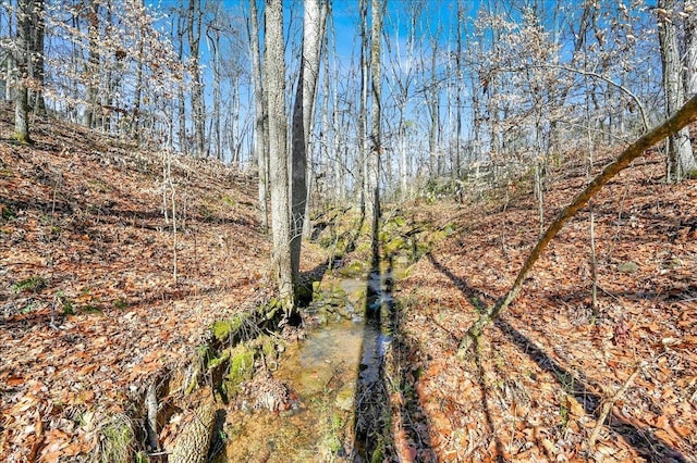 view of local wilderness with a view of trees