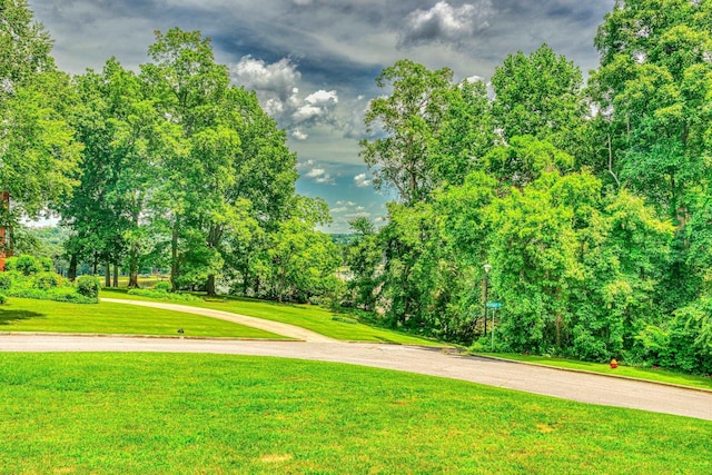  - view of community with a lawn