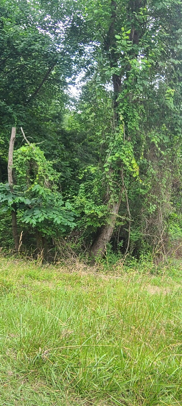  - photo 3