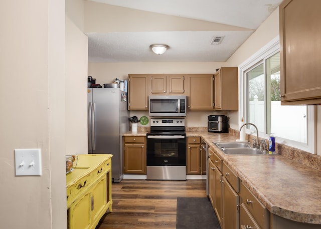 kitchen featuring appliances with stainless steel finishes, dark hardwood / wood-style floors, vaulted ceiling, and sink