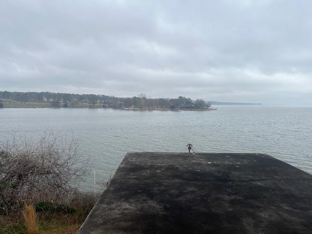 water view featuring a dock