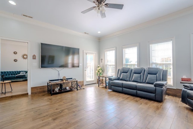 living room featuring ceiling fan, light wood-type flooring, and ornamental molding