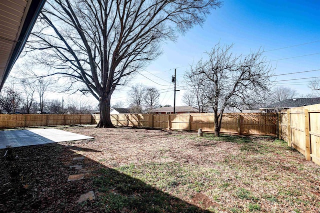 view of yard featuring a patio area