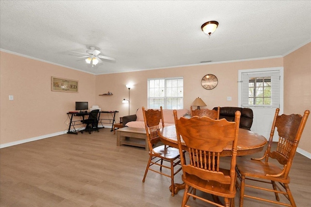  - dining space featuring ceiling fan, ornamental molding, light wood-style floors, a textured ceiling, and a desk