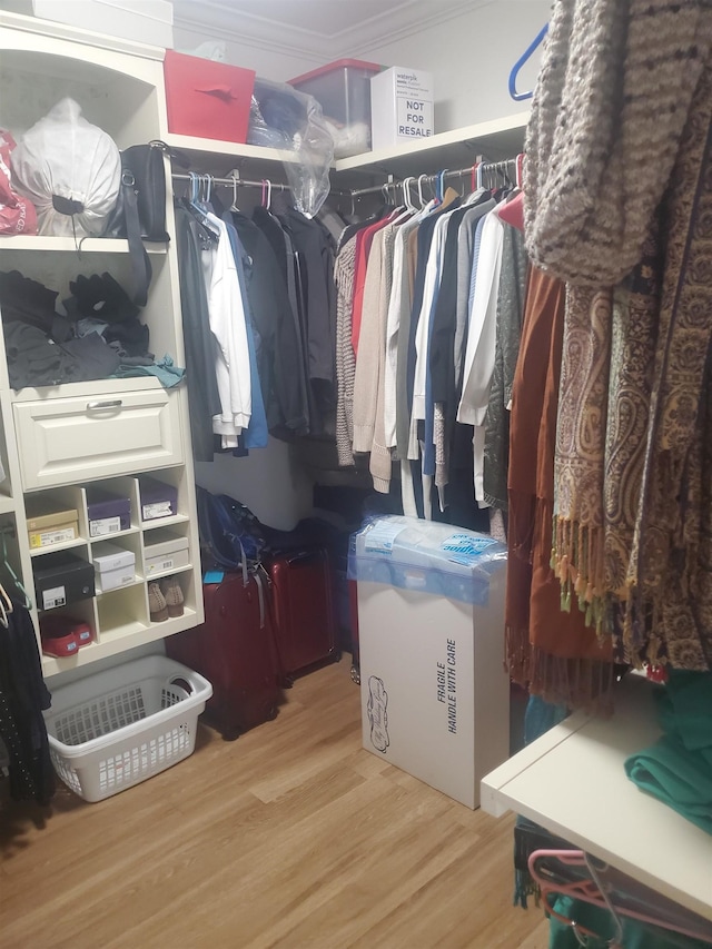 spacious closet featuring light hardwood / wood-style flooring