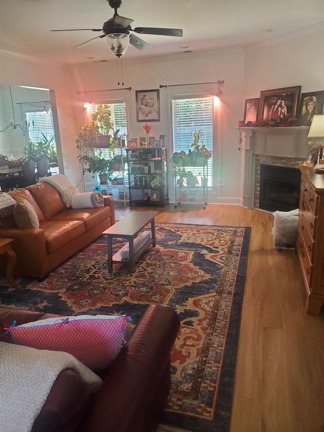 living room with ceiling fan and wood-type flooring