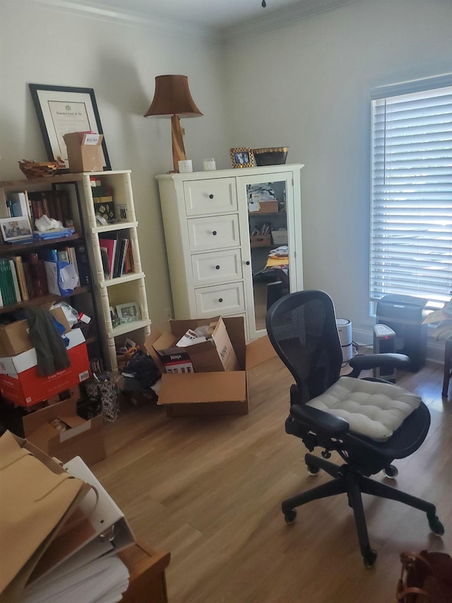 office featuring light hardwood / wood-style floors and crown molding