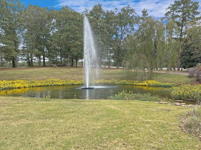  - surrounding community featuring a yard and a water view