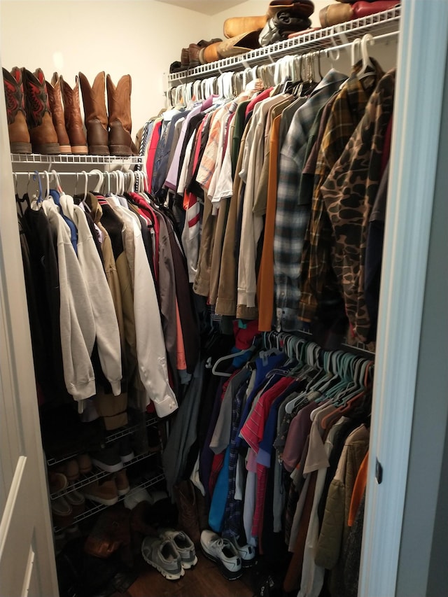 view of walk in closet