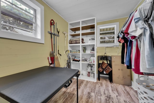  - walk in closet featuring wood finished floors