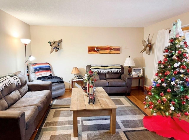 living room featuring hardwood / wood-style floors