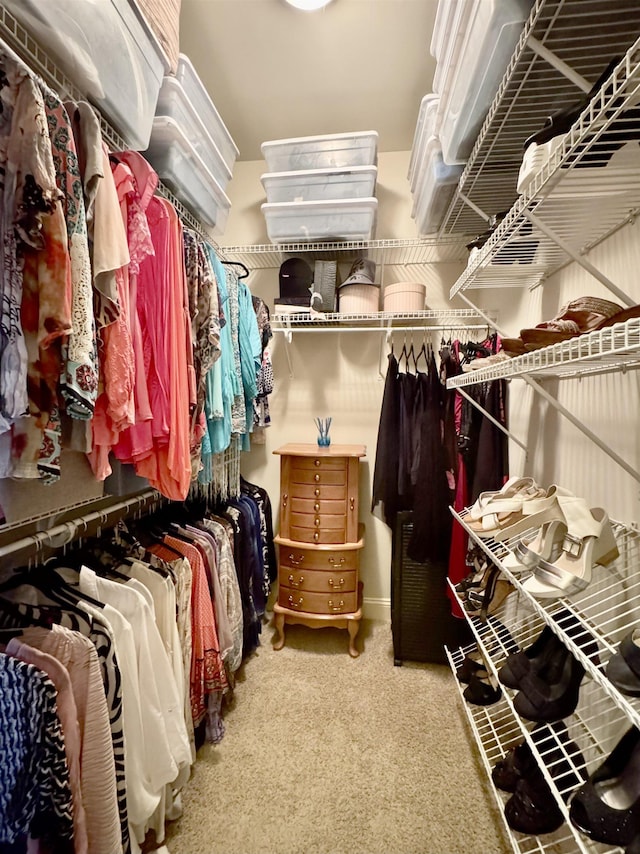 walk in closet featuring carpet flooring