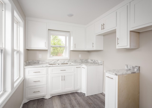 kitchen featuring light stone counters, a sink, wood finished floors, and white cabinets