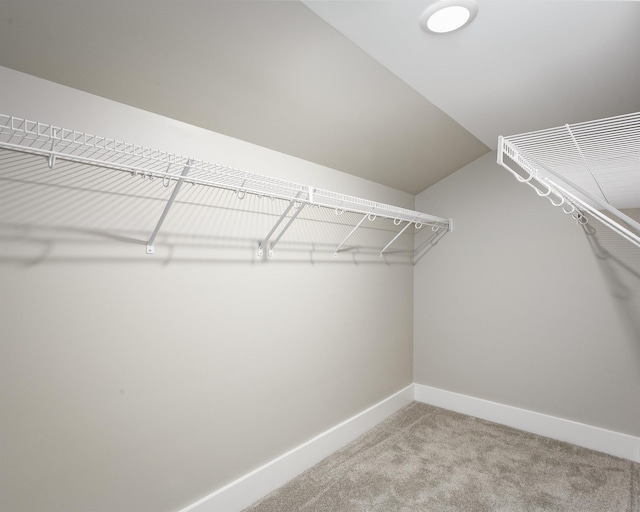 spacious closet with light carpet