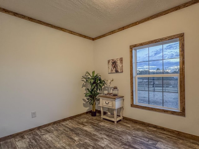 spare room featuring dark hardwood / wood-style floors and a textured ceiling