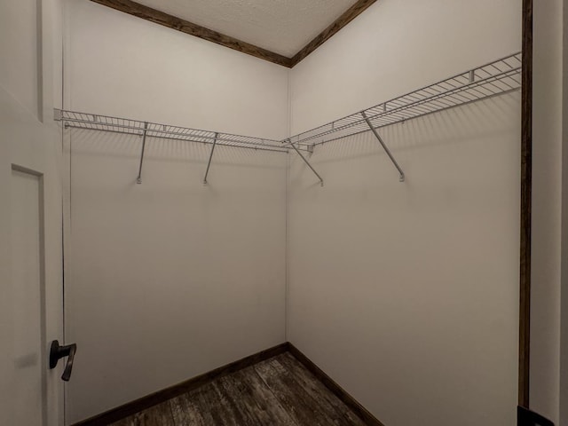 walk in closet with dark hardwood / wood-style floors