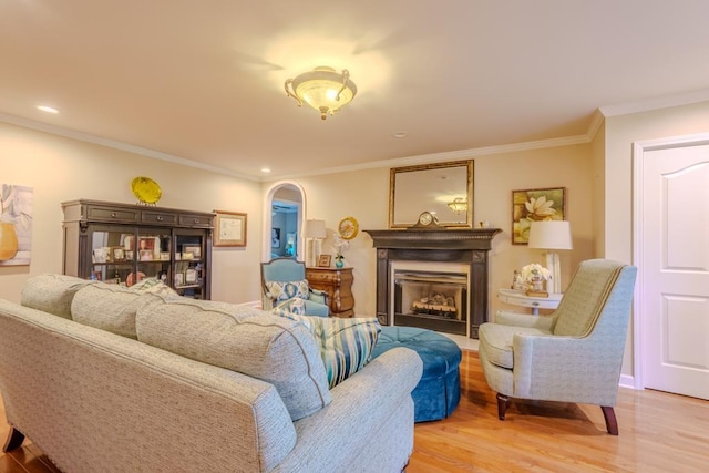 living room featuring ornamental molding and light hardwood / wood-style flooring