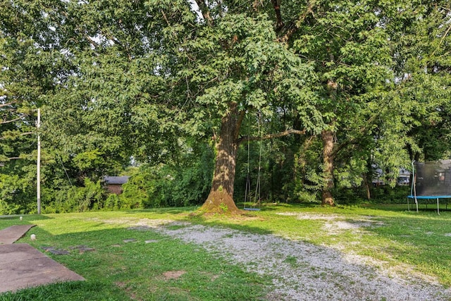  - view of green lawn featuring a trampoline