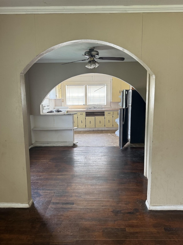 interior space with dark hardwood / wood-style flooring, ceiling fan, sink, and ornamental molding