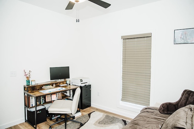 office space with ceiling fan and light hardwood / wood-style flooring