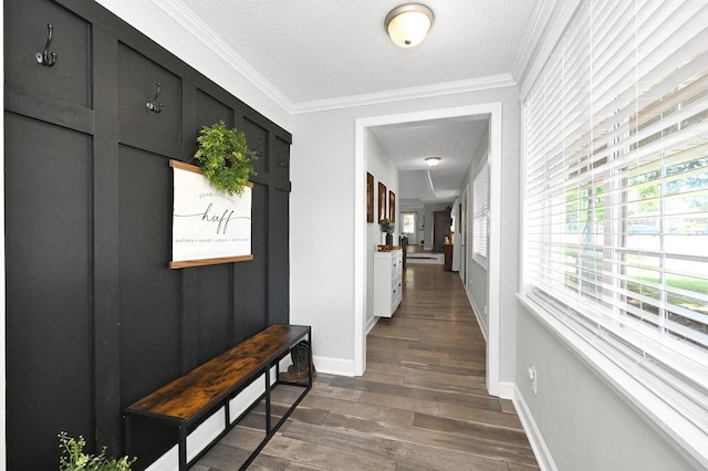 hallway with crown molding, dark hardwood / wood-style flooring, and a textured ceiling