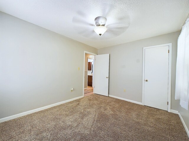  - photo 17