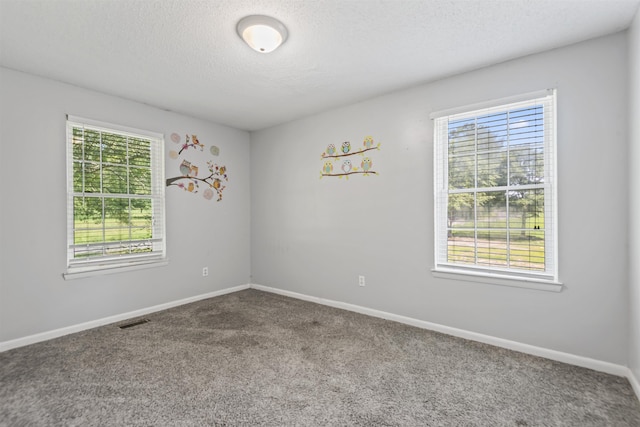  - spare room with healthy amount of natural light, carpet floors, and a textured ceiling