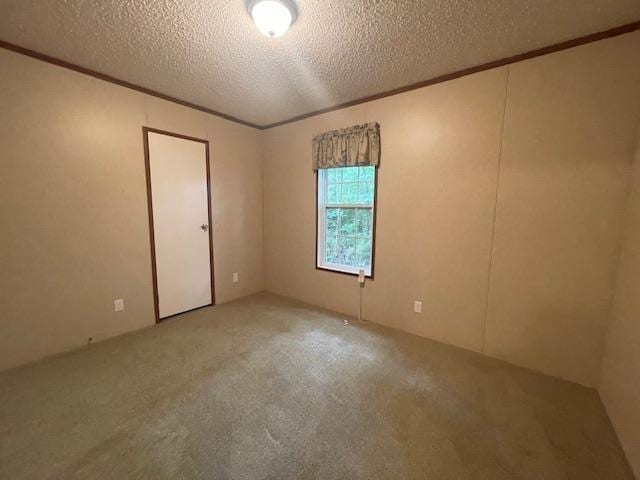 carpeted spare room with crown molding and a textured ceiling