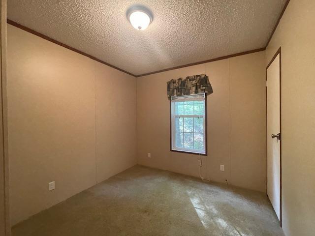 spare room featuring ornamental molding and a textured ceiling