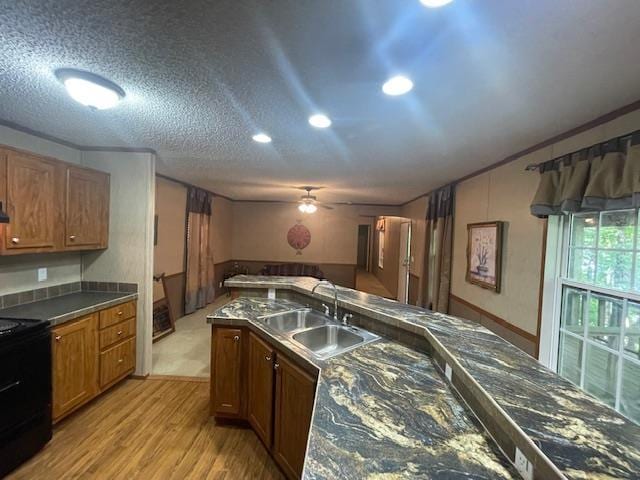 kitchen featuring stove, sink, light hardwood / wood-style flooring, and a textured ceiling