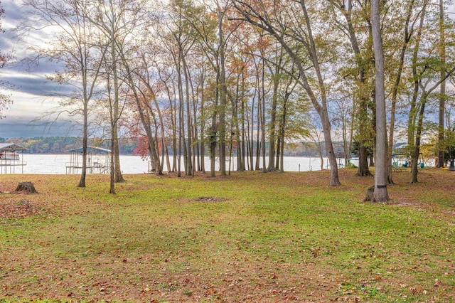 view of yard with a water view