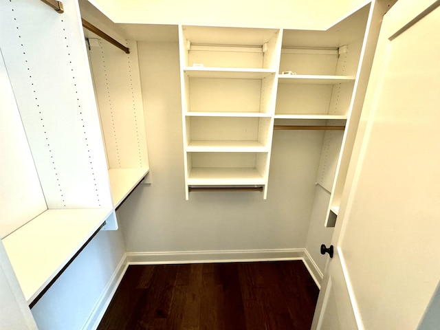 spacious closet featuring hardwood / wood-style flooring